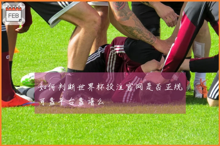 如何判断世界杯投注官网是否正规可靠平台靠谱么