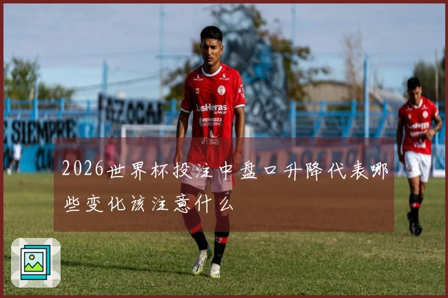 2026世界杯投注中盘口升降代表哪些变化该注意什么