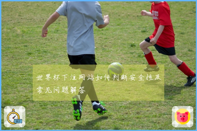 世界杯下注网站如何判断安全性及常见问题解答
