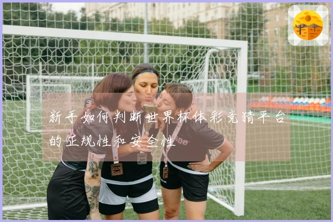 新手如何判断世界杯体彩竞猜平台的正规性和安全性