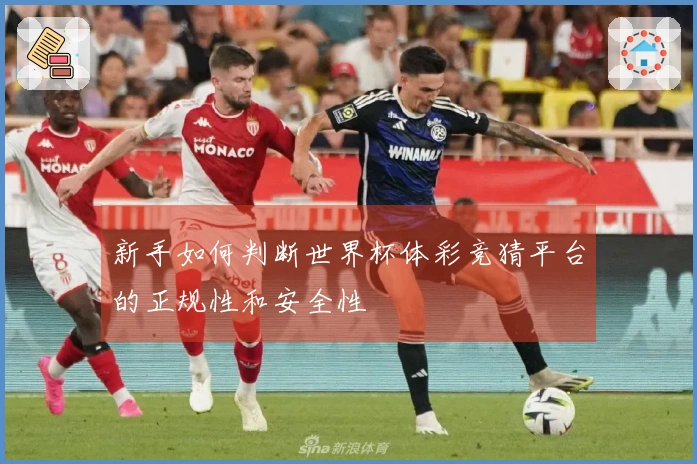 新手如何判断世界杯体彩竞猜平台的正规性和安全性