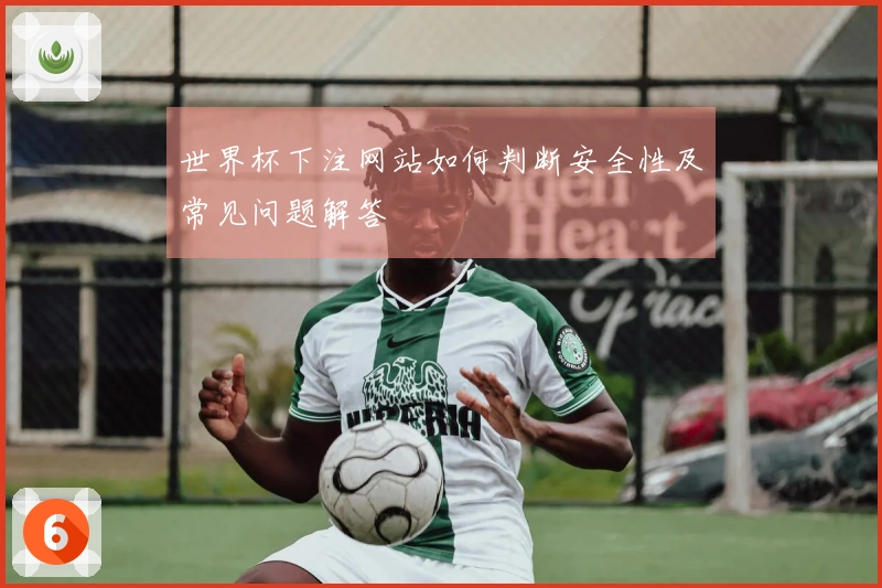 世界杯下注网站如何判断安全性及常见问题解答