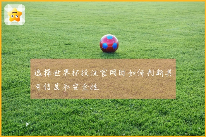 选择世界杯投注官网时如何判断其可信度和安全性