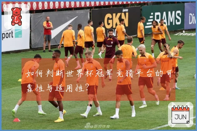 如何判断世界杯冠军竞猜平台的可靠性与适用性？